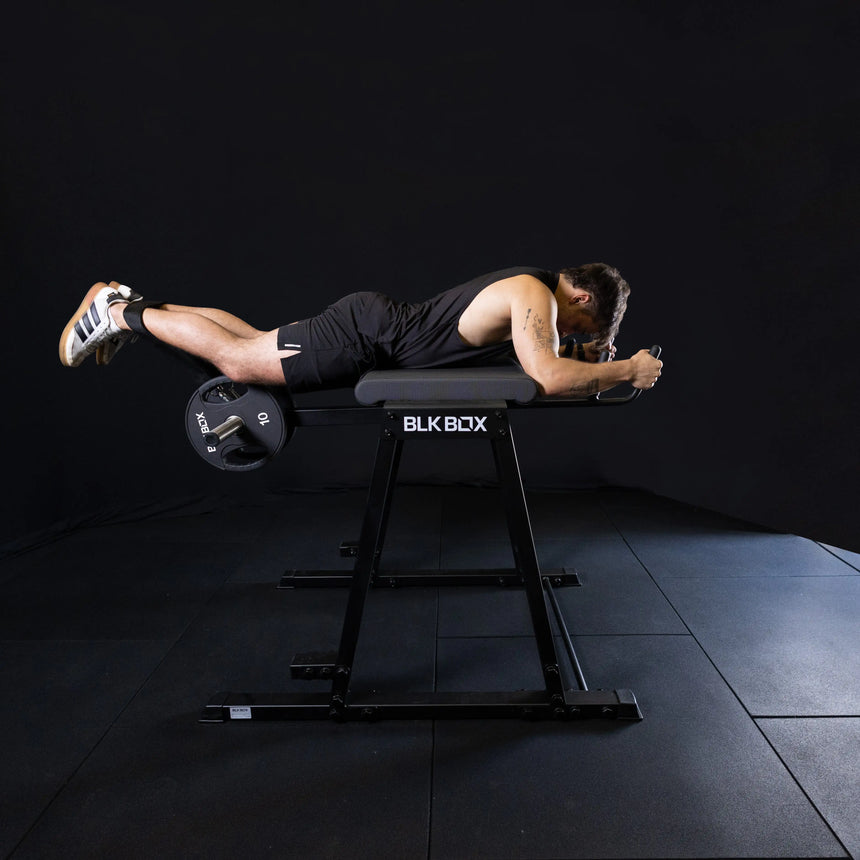 Reverse Hyper Extension