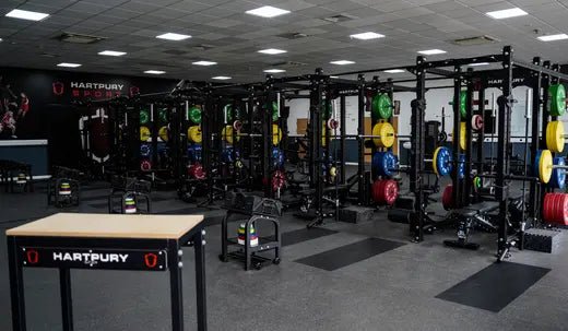 HARTPURY X BLK BOX - BLK BOX