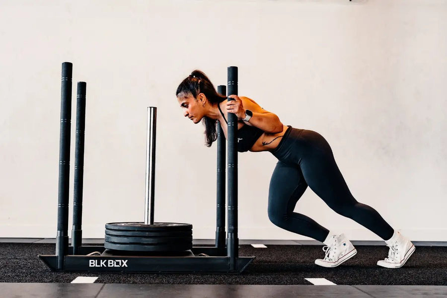 Sled Buying Guide - BLK BOX