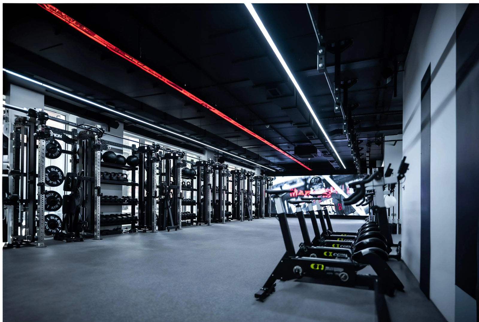 BLK BOX Gym Rig Storage collection – rig-mounted weight storage solutions