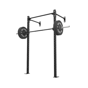 Wall Mounted Gym Rigs