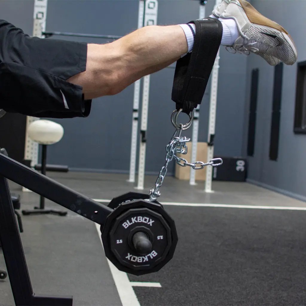 12 Sided Urethane Weight Plates - BLK BOX