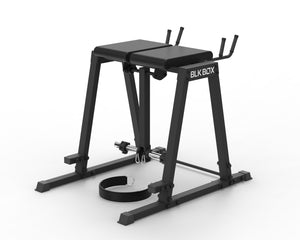 Reverse Hyper Extension