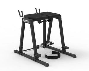Reverse Hyper Extension
