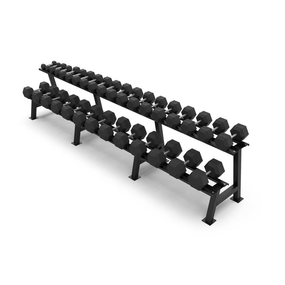 2 Tier Hex Dumbbell Rack with 2.5 - 40kg Hex Dumbbell Set - BLK BOX