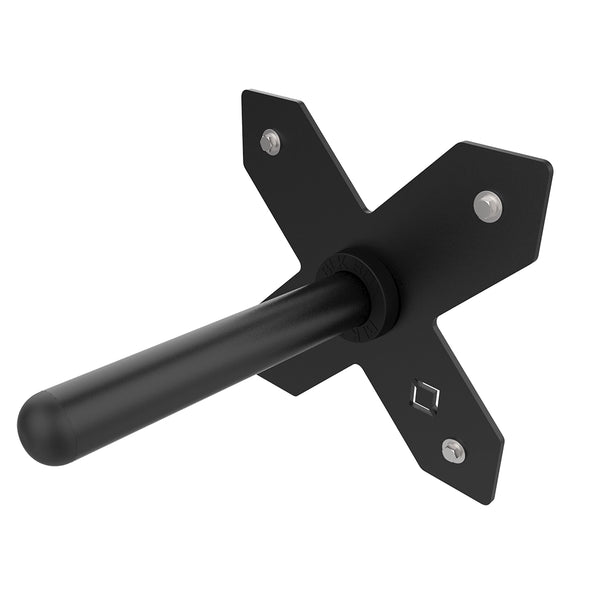 Wall Mounted Bumper Plate Storage