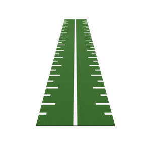 BLK BOX Agility Turf White Line and Markings – installed in gym