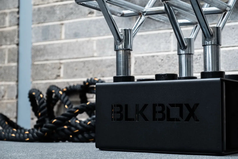 APEX Fitness
