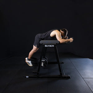 Reverse Hyper Extension
