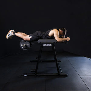 Reverse Hyper Extension