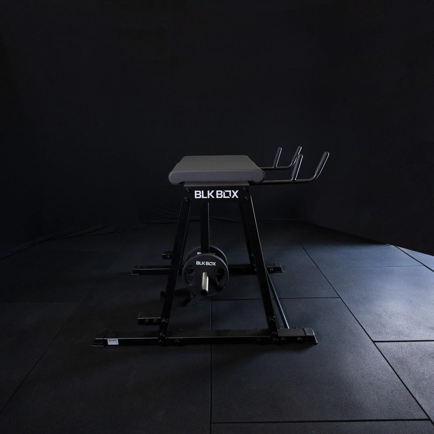 Reverse Hyper Extension