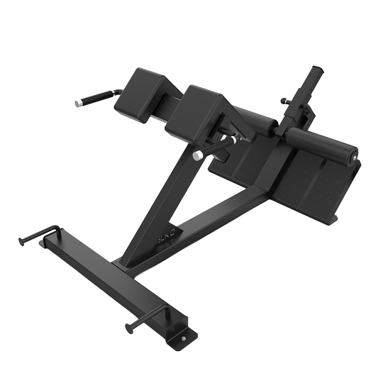 45 Degree Hyper Extension