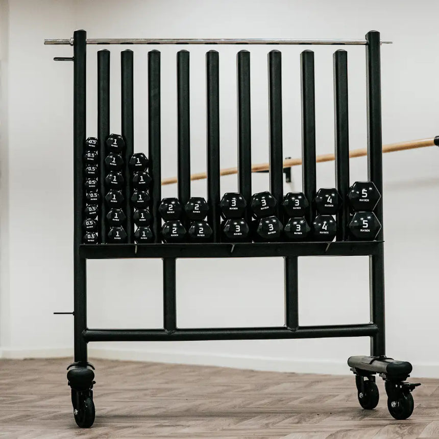 BLK BOX Studio Vinyl Dumbbell Storage
