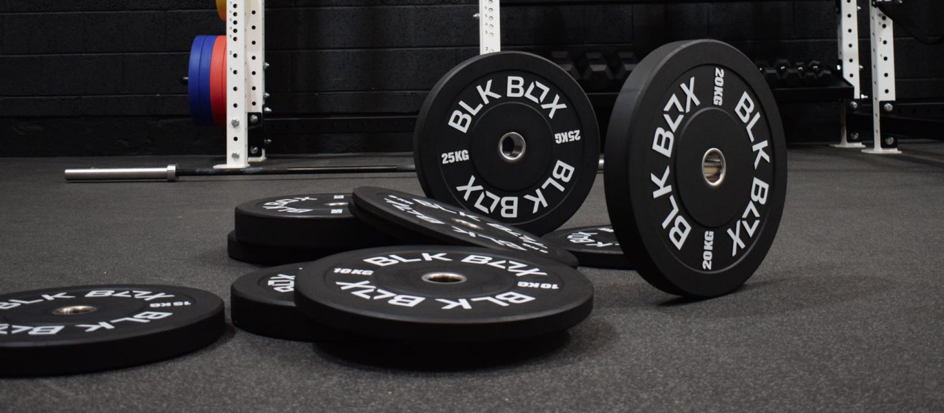 Utility Bumper Weight Plates