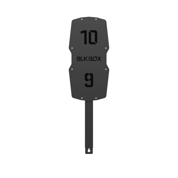 Competition Rig Mounted Wall Ball Target with Extension Arm-BLK BOX