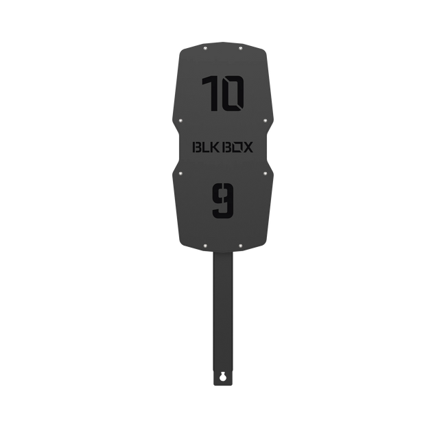 Competition Rig Mounted Wall Ball Target with Extension Arm-BLK BOX