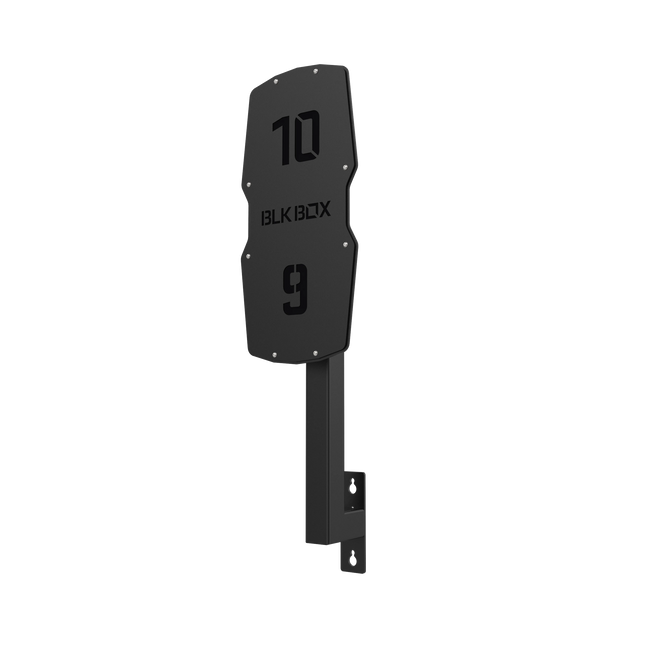 Competition Rig Mounted Wall Ball Target with Extension Arm-BLK BOX