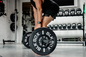 Utility Bumper Weight Plates