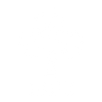 Ireland Rugby