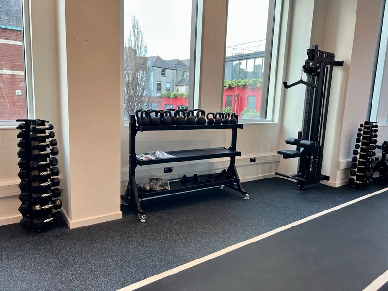 Metabolic Fitness