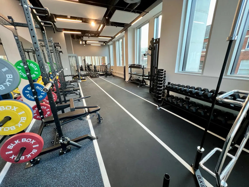 Metabolic Fitness