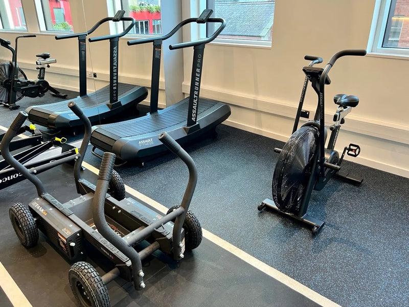 Metabolic Fitness