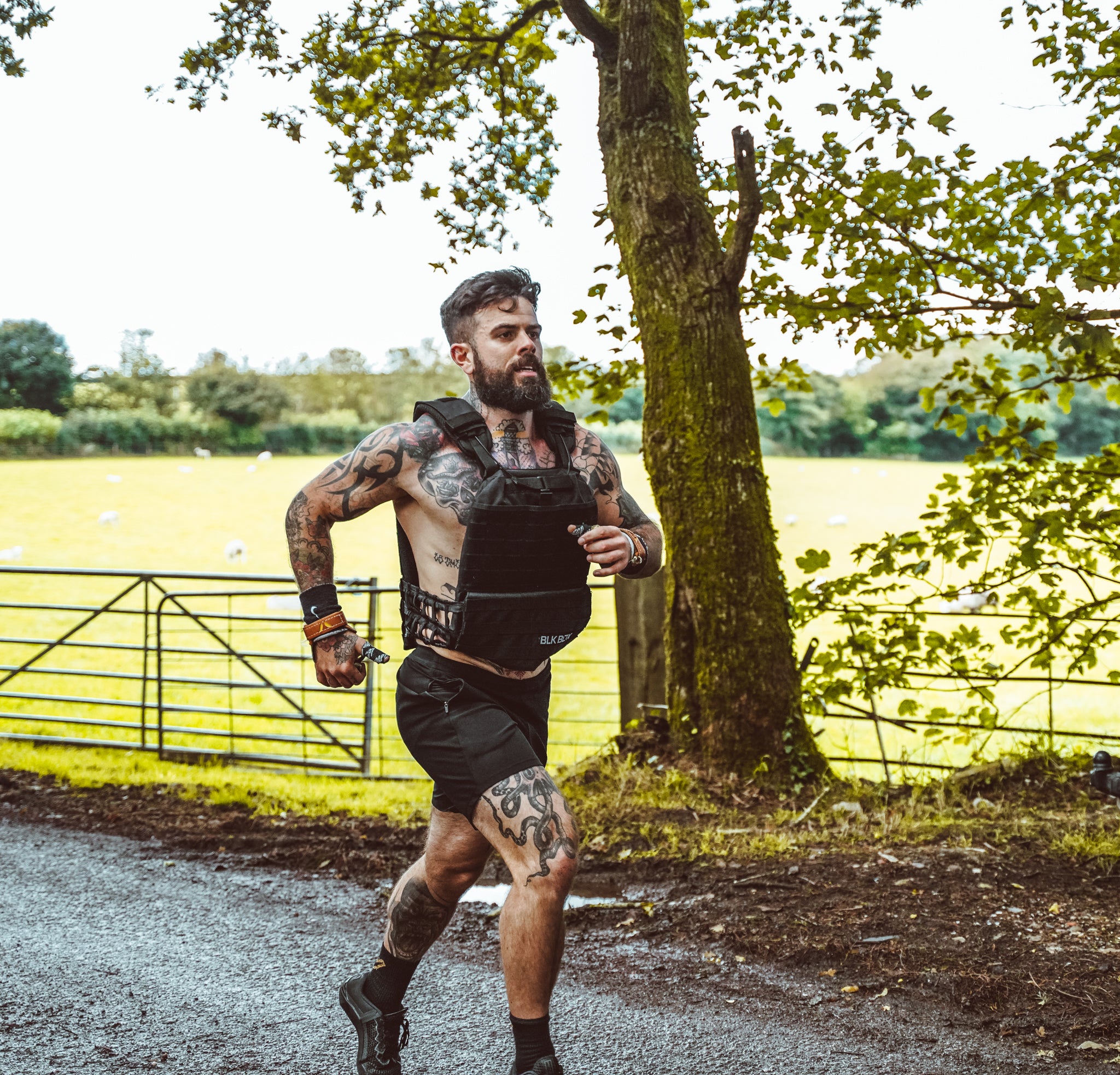 Utility Weight Vest and Plate Bundle