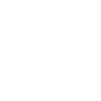 Sydney Swans