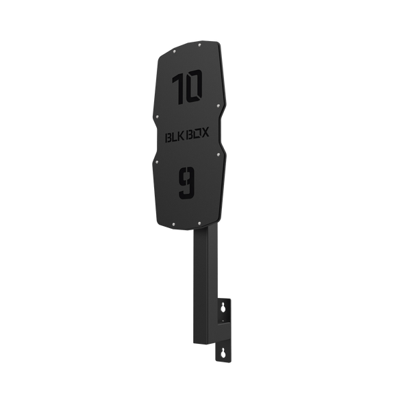 Competition Rig Mounted Wall Ball Target with Extension Arm - BLK BOX