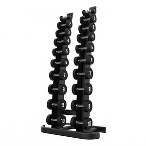 BLK BOX 10 Pair Vertical Dumbbell Rack