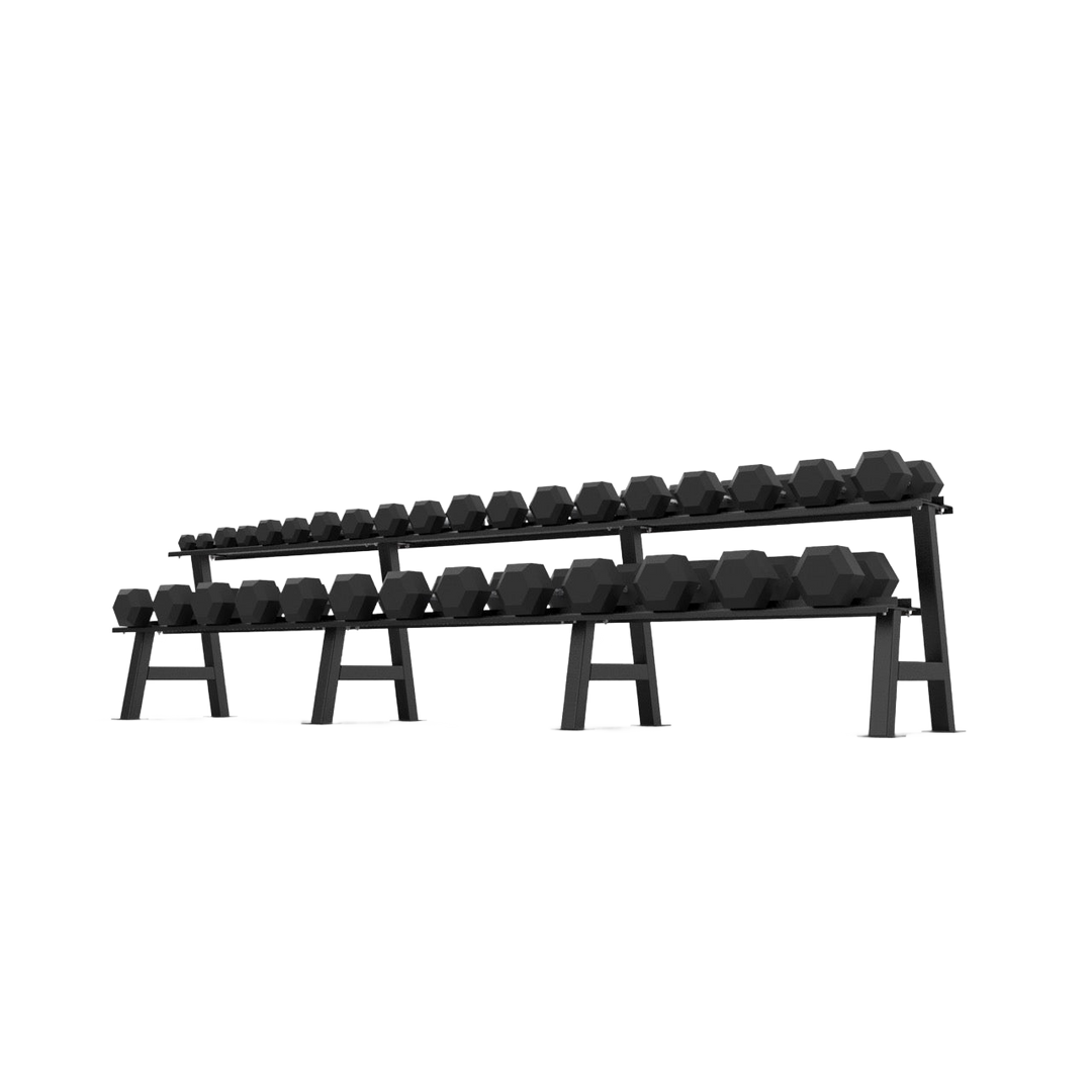 2 Tier Hex Dumbbell Rack with 2.5 - 40kg Hex Dumbbell Set - BLK BOX