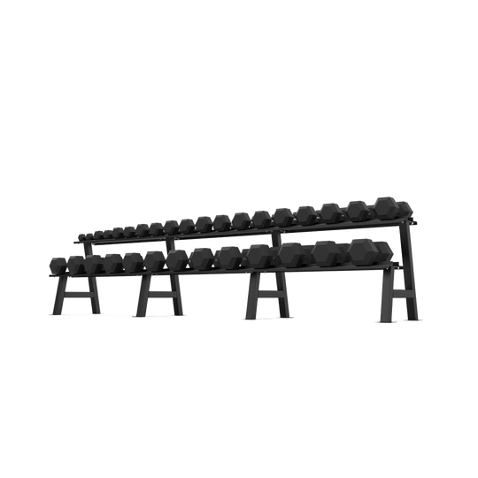 2 Tier Hex Dumbbell Rack with 2.5 - 40kg Hex Dumbbell Set - BLK BOX