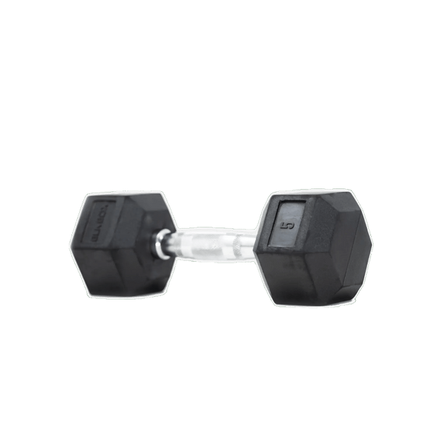 BLK BOX Rubber Hex Dumbbell (lbs) – rubber-coated hex head