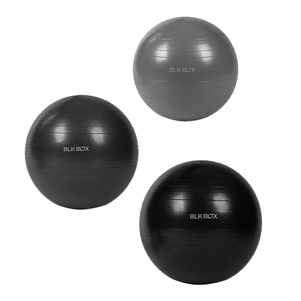 BLK BOX Swiss Ball