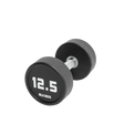 Premium Urethane Dumbbell | BLK BOX