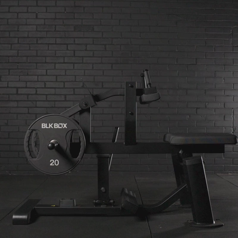 BLK BOX Seated Calf Raise 