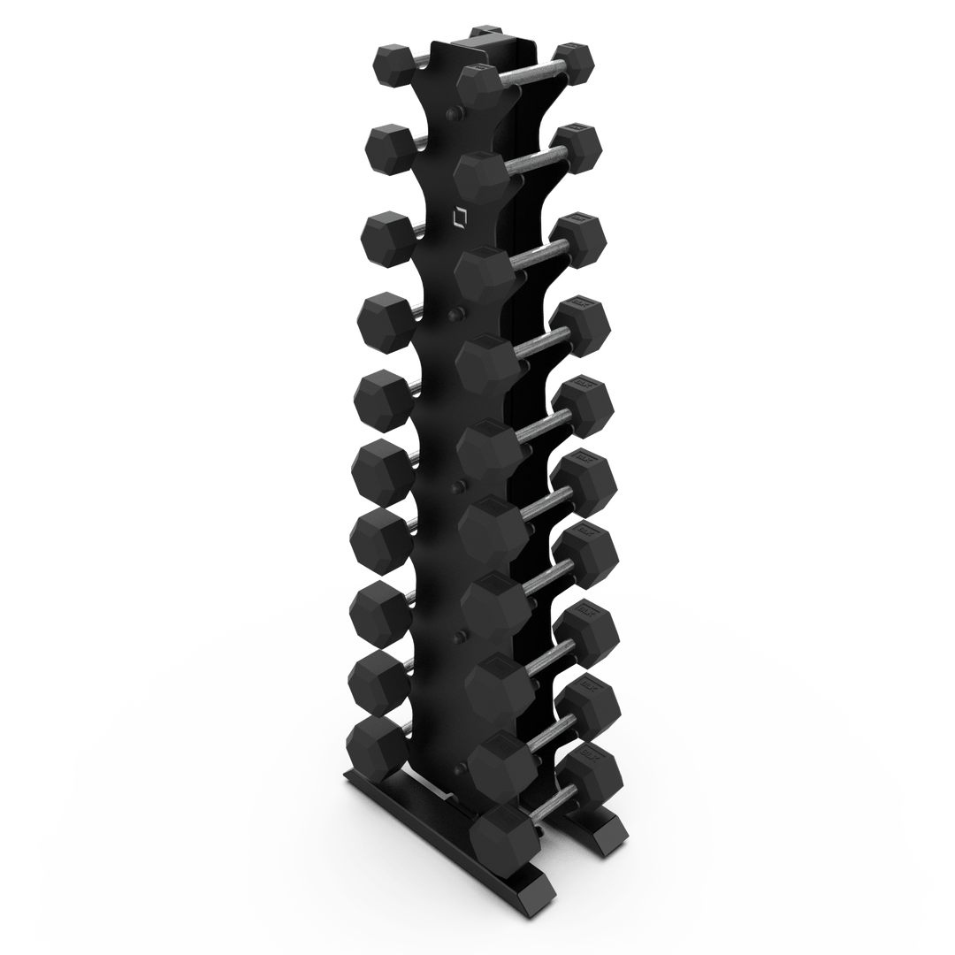 Vertical Dumbbell Rack with Rubber Hex DB Set - BLK BOX