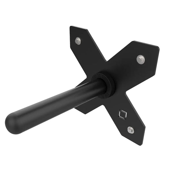 Wall Mounted Bumper Plate Storage - BLK BOX