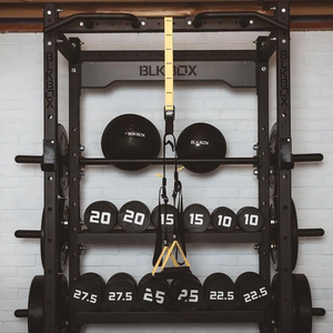 TRX Move System