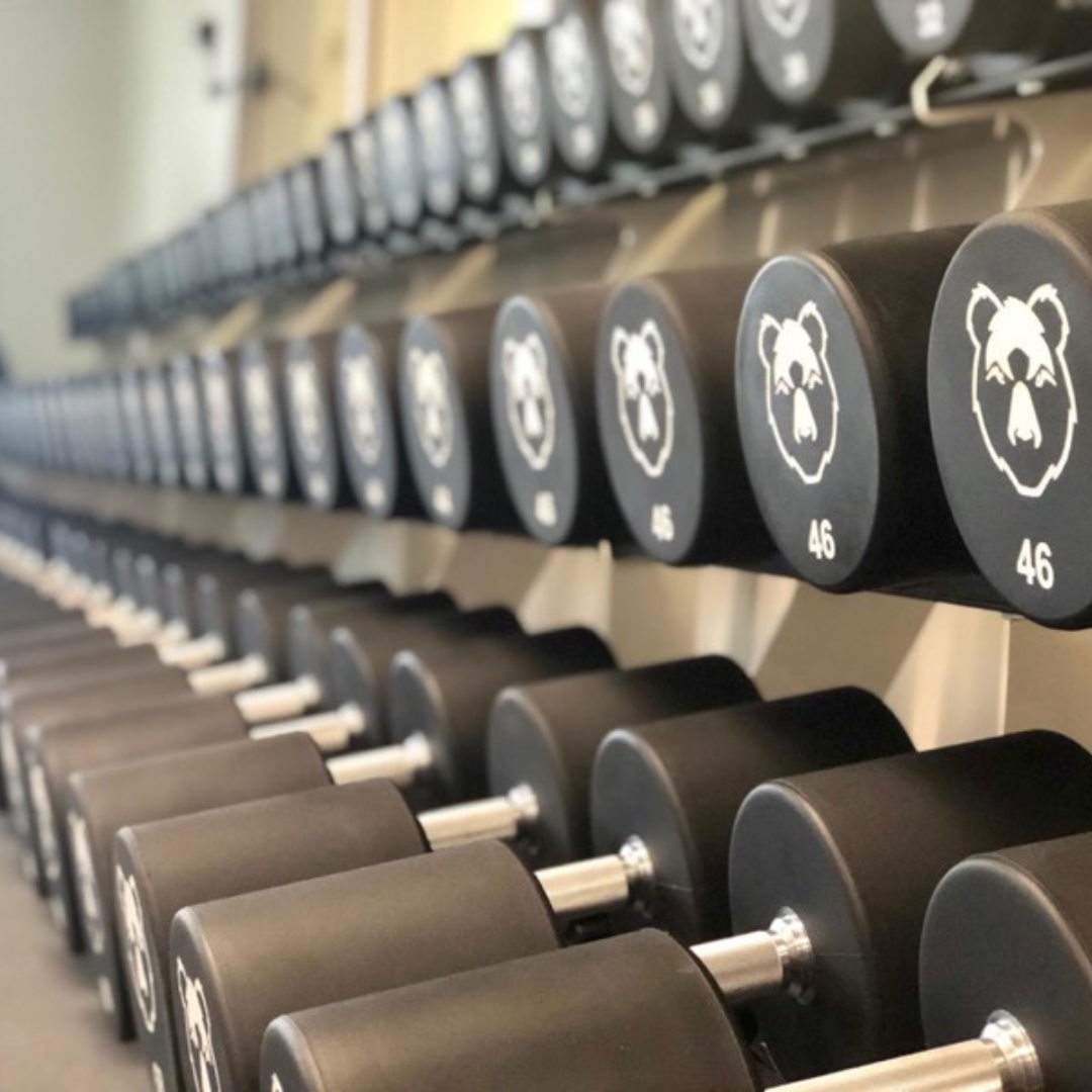 Custom dumbbells deals