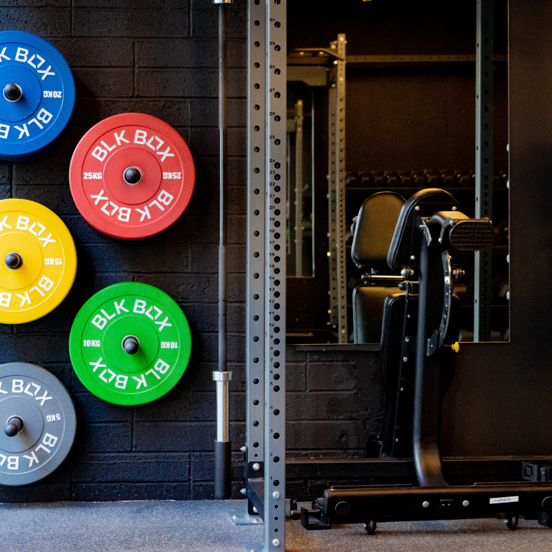 Wall mount weight discount plate