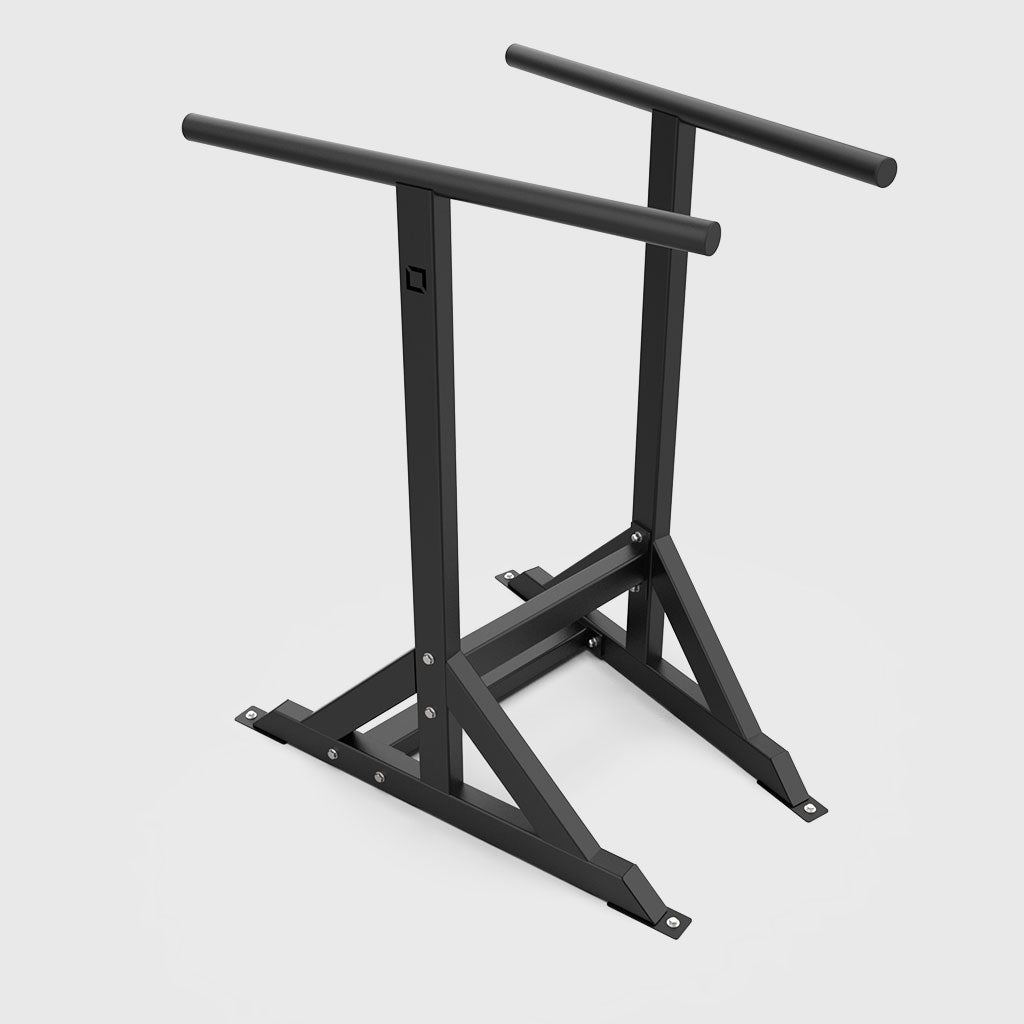 BLK BOX Free Standing Dip Station