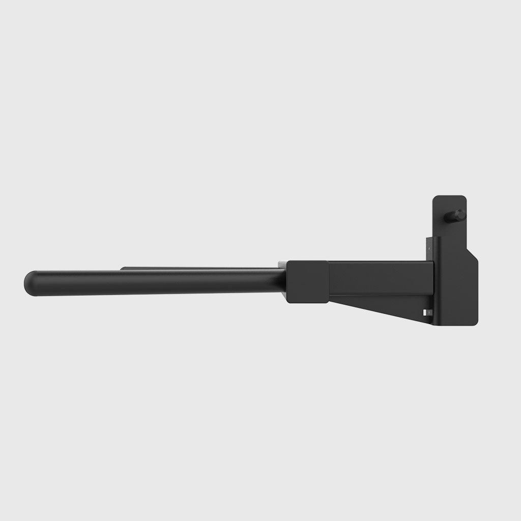 BLK BOX Goliath Dip Station