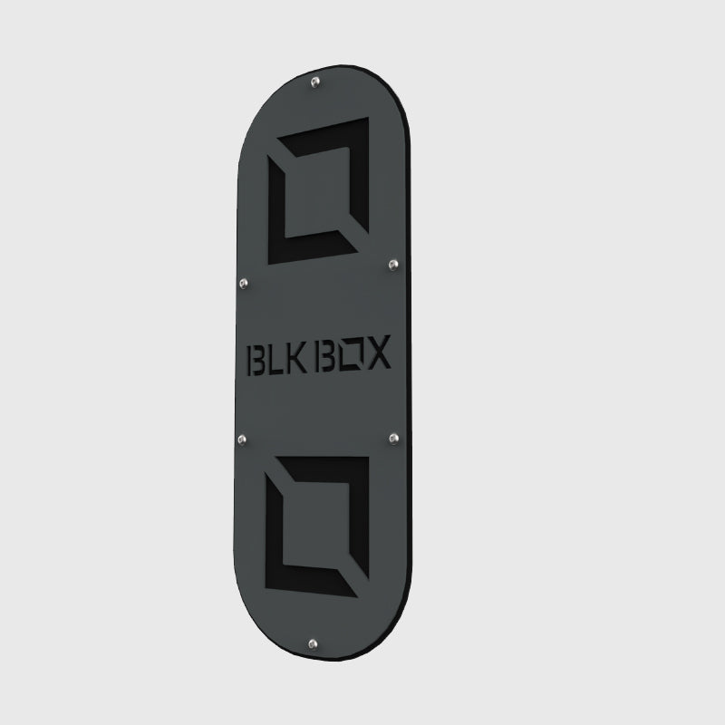 BLK BOX Goliath Gym Rig Wall Ball Target
