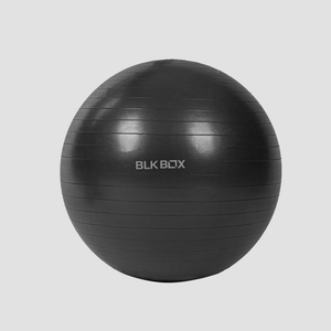 BLK BOX Swiss Ball