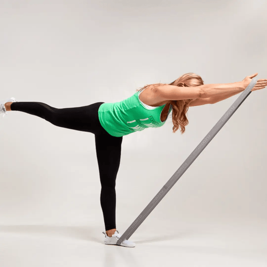 FLEXVIT Revolve Resistance Bands - BLK BOX