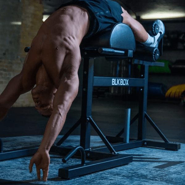 Glute Ham Developer (GHD) - BLK BOX