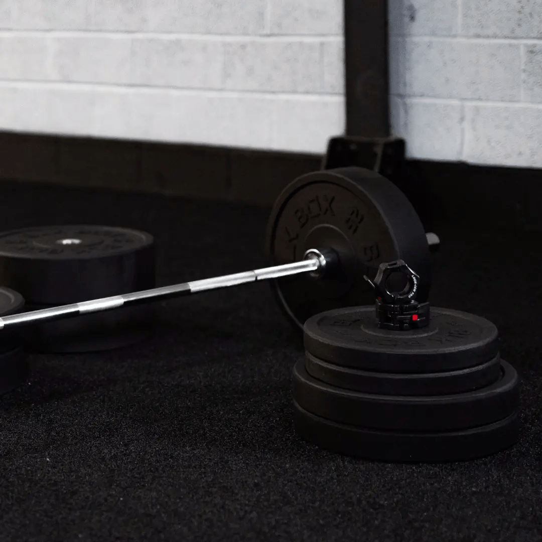 Heavy Duty Impact Bumper Weight Plates - BLK BOX