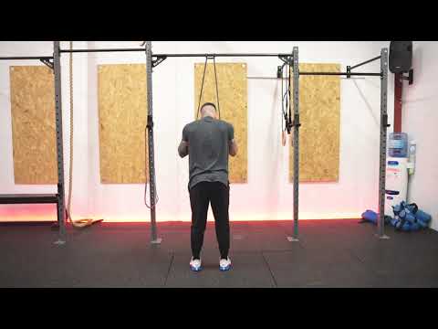 Blk box on sale resistance bands