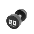 Premium Urethane Dumbbell - BLK BOX